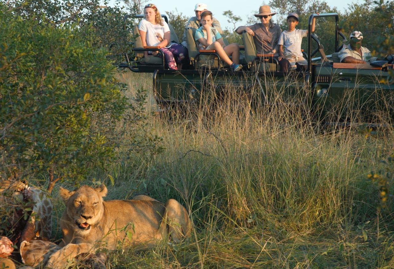 Villa Pungwe Safari Camp à Domaine de chasse de Manyeleti Extérieur photo