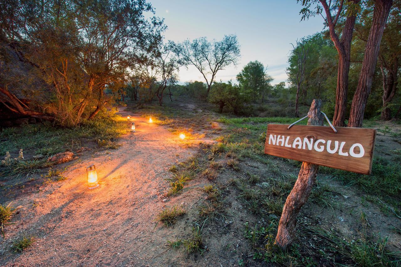 Villa Pungwe Safari Camp à Domaine de chasse de Manyeleti Extérieur photo