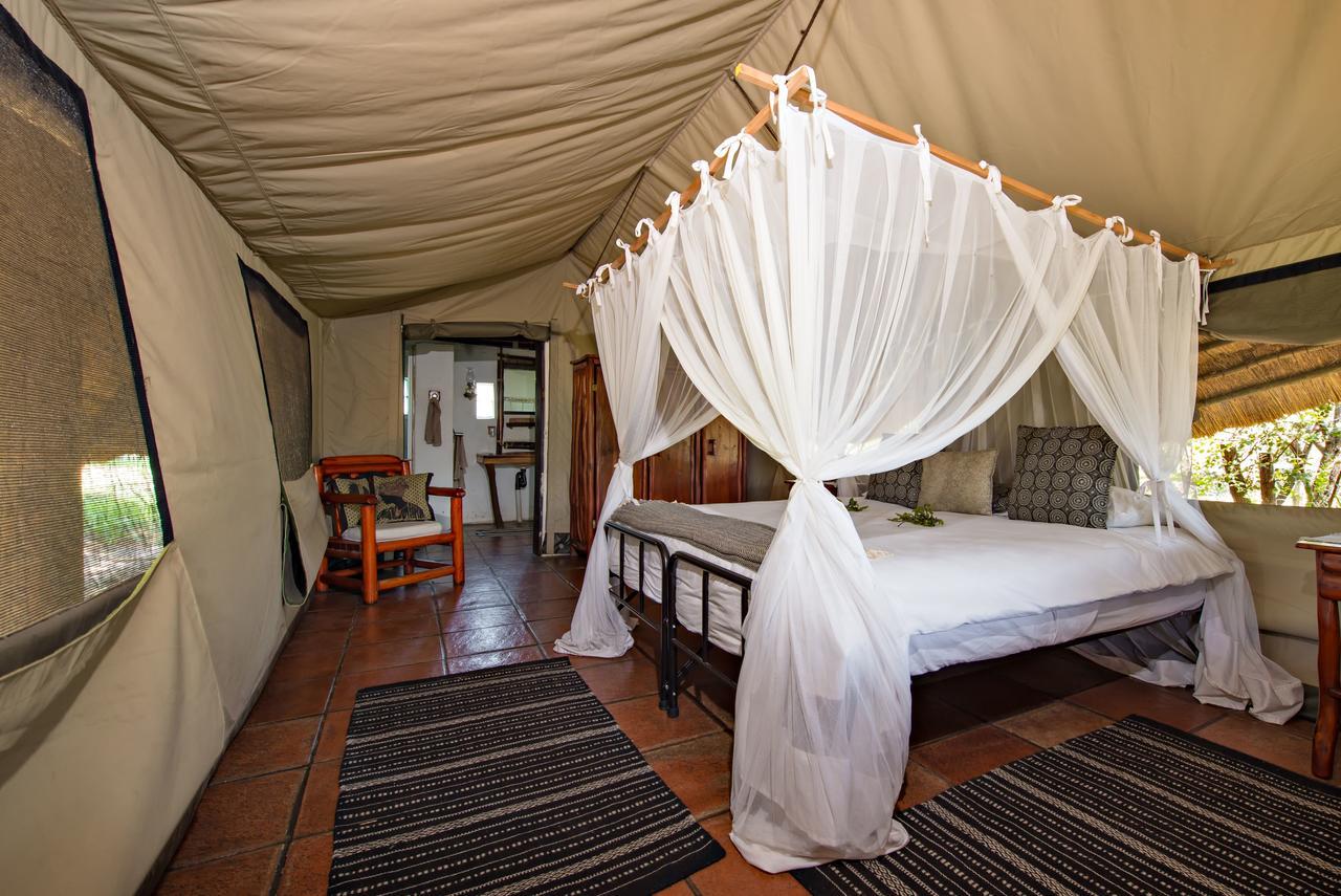 Villa Pungwe Safari Camp à Domaine de chasse de Manyeleti Extérieur photo